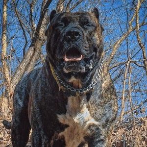 Meet your Posher, Lance